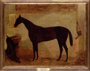 Lord Eglington's The "flying Dutchman" In A Stable