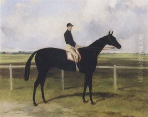 Mr. Osborne's The Black Doctor,  A Black Colt Racehorse With W. Hiett Up, A Racecourse Beyond