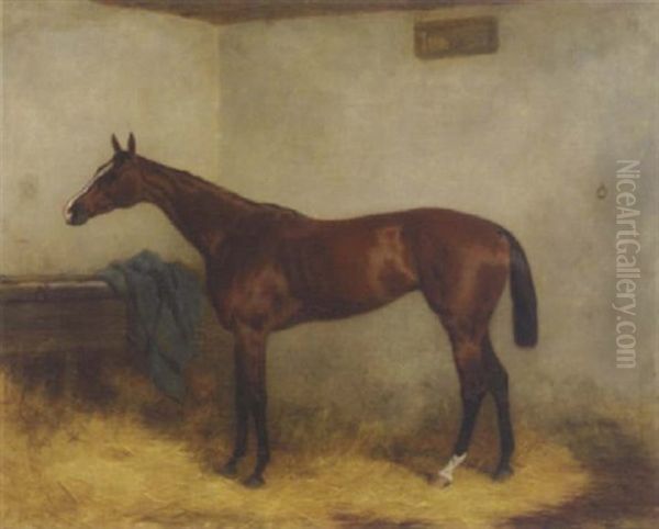 "chopette", A Bay Racehorse In A Stable - view 1