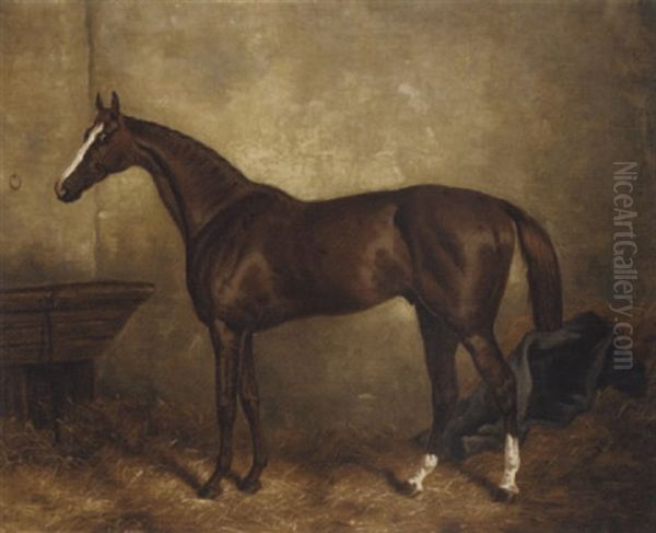 "prince Charlie" In A Stable - view 1