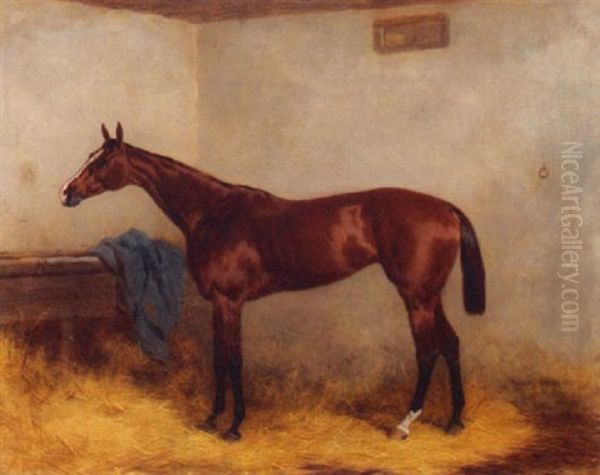 "chopette," A Bay Racehorse In A Stable - view 1