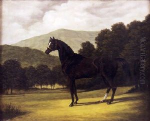 Etalon Noir Dans Un Paysage by Harry Hall