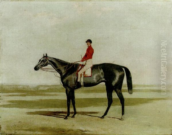 "the 'squire" With Jockey Up, At Newmarket - view 1