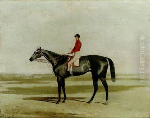 "the 'squire" With Jockey Up, At Newmarket "the 'squire" With Jockey Up, At Newmarket