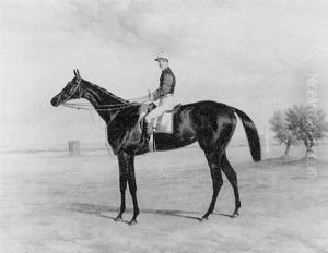 "antoinette" With Jockey Up