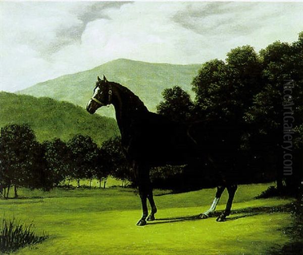 Le Cheval "parthenon" (mr Garfied's Good Horse) - view 1