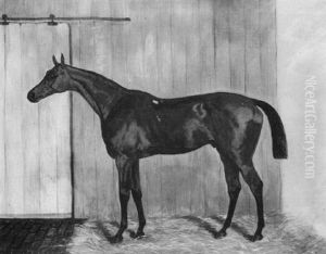 "macaroni", A Bay Racehorse In A Stable
