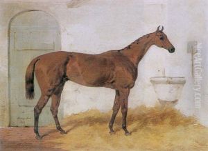 Portrait Of "cossack" In A Stable