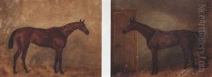 "lady Golightly", A Brown Racehorse In A Loosebox by Harry Hall