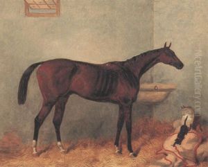 "lord Lyon" In The Stable