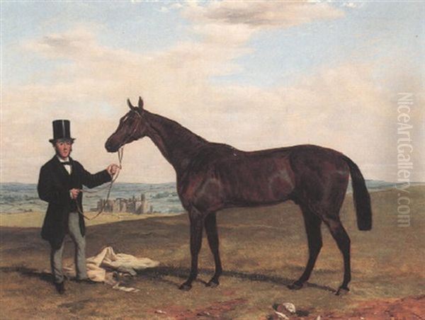 "fisherman," A Bay Racehorse Held By His Trainer - view 1