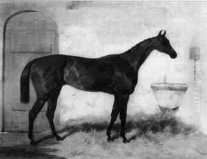 Cossack