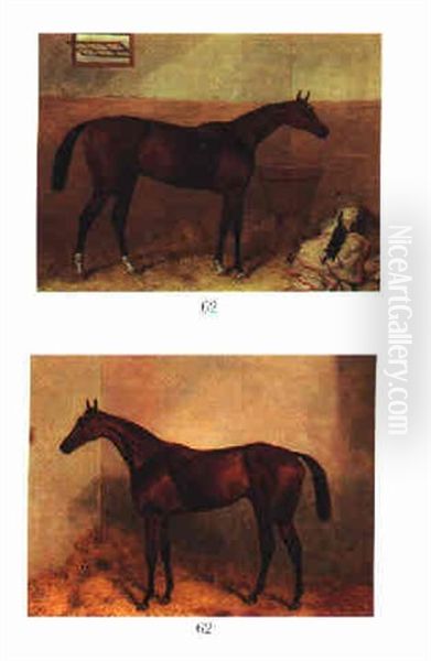 "gladiateur" A Bay Racehorse In A Loosebox - view 1