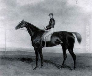 Bay Hunter With Jockey Up by Harry Hall