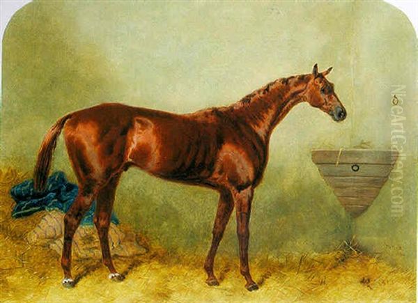 "favonius", A Bay Racehorse, In A Stable - view 1