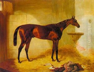 "surplice", A Bay Racehorse In A Stable by Harry Hall