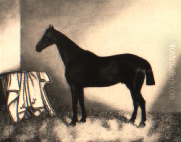 A Chestnut Colt In A Stable - view 1