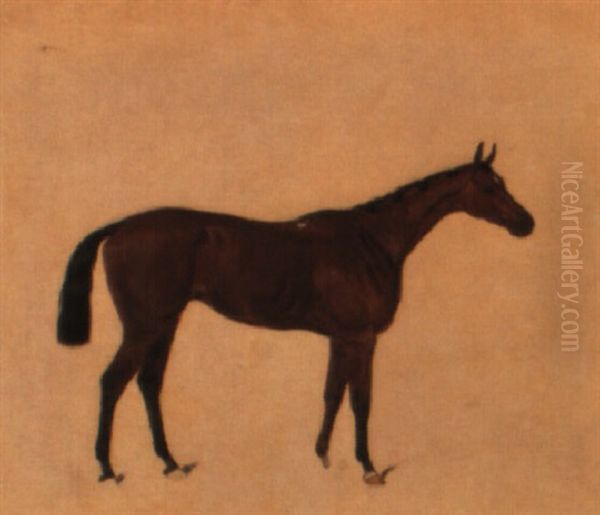 'lady Cliften' - view 1