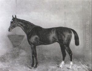 Bay Hunter In A Loose Box by Harry Hall
