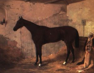 Bay Racehorse In A Stable