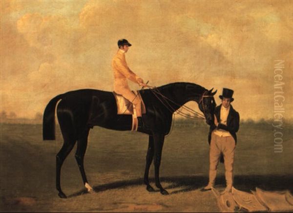 'satirist' With Jockey Up - view 1