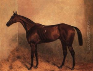 'gladiateur', A Bay Racehorse In A Loosebox by Harry Hall