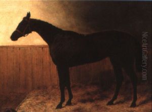 A Chestnut Racehorse In A Loose Box by Harry Hall