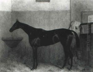 Achievement, A Dark Bay Racehorse In A Loose Box by Harry Hall