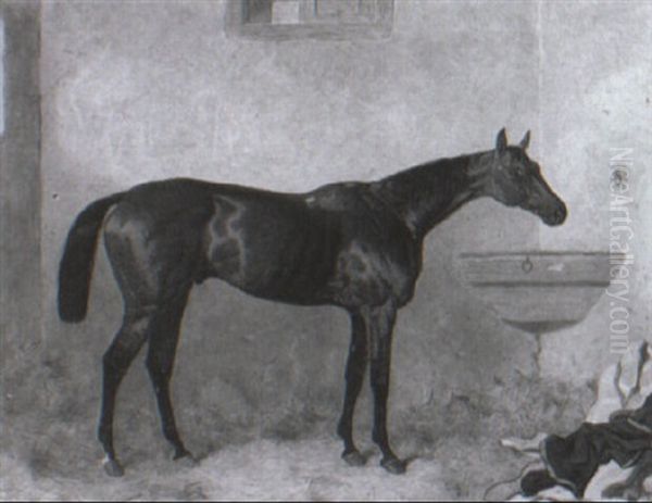 Bay Racehorse In A Stable - view 1