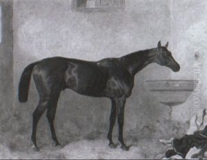 Bay Racehorse In A Stable