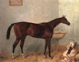 A Portrait Of A Bay Race Horse, Lord Lyon In A Stable, A Cat Playing On The Horse Blanket by Harry Hall