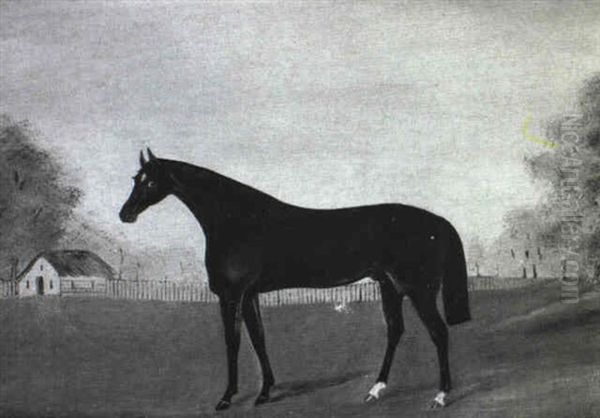 Study Of A Liver Chestnut Hunter In An Open Landscape - view 1