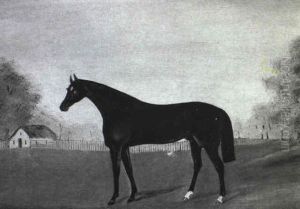 Study Of A Liver Chestnut Hunter In An Open Landscape by Harry Hall