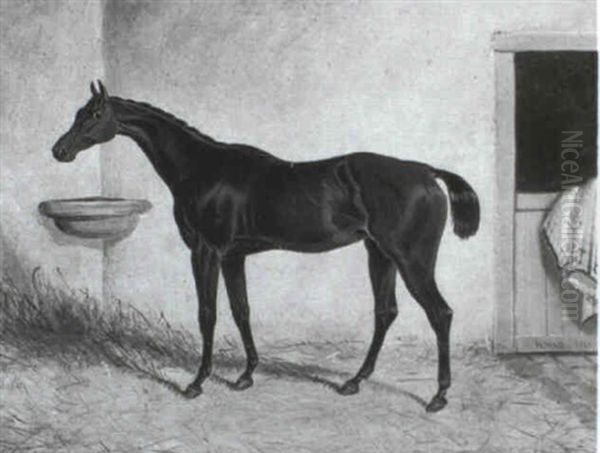 Racehorses In Stables - view 1