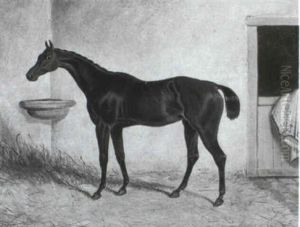 Racehorses In Stables