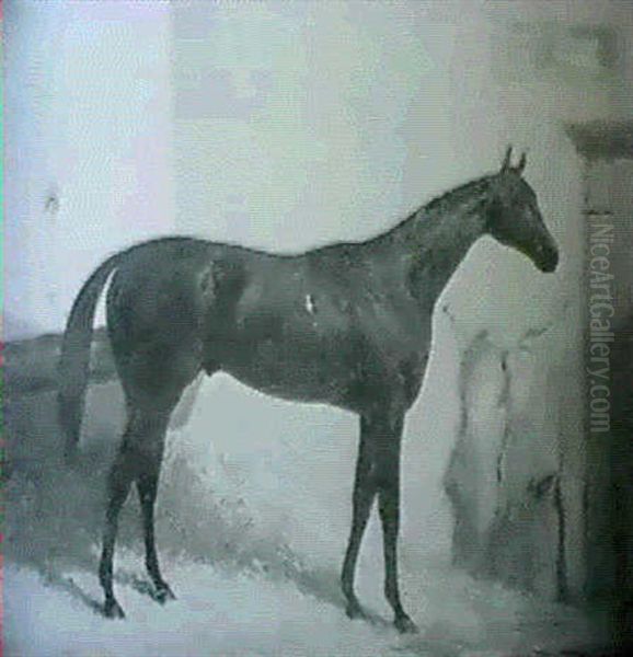 Portrait Of Tuft Hunter, In A Stable - view 1