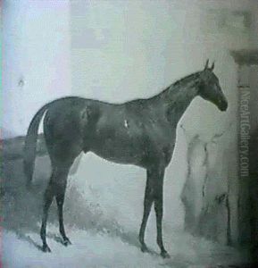 Portrait Of Tuft Hunter, In A Stable