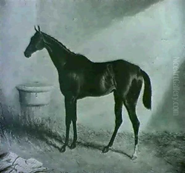 A Bay Hunter In A Stable - view 1