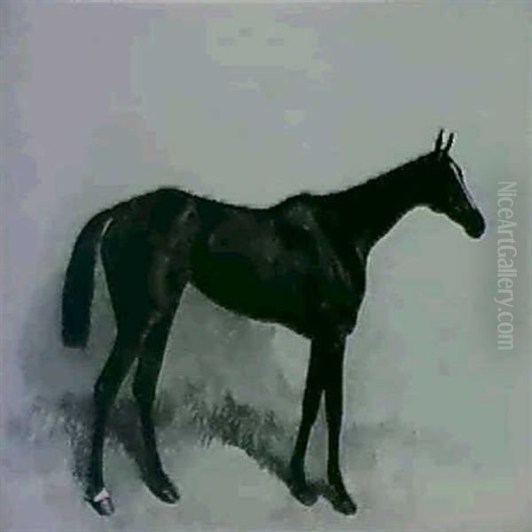 General Hesse; Lady Clifden - view 1