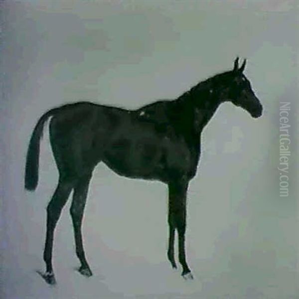 Portraits Of Bay Racehorses - view 1