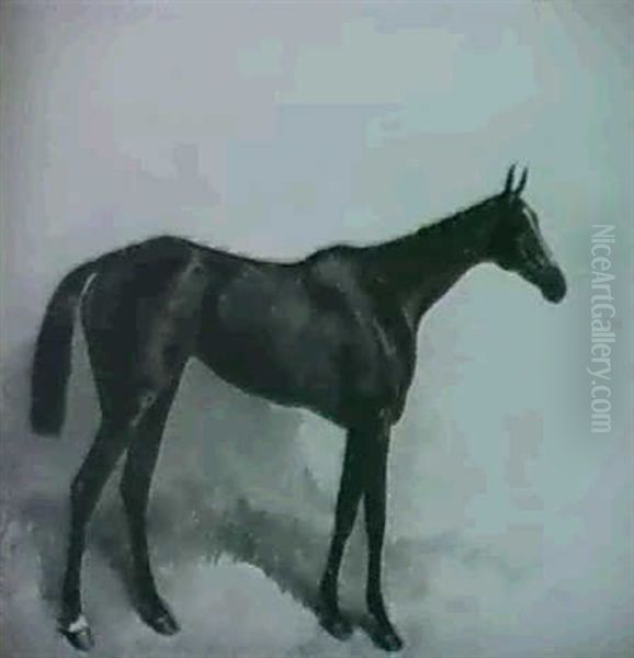 "general Hesse"; And "lady Clifden" - view 1