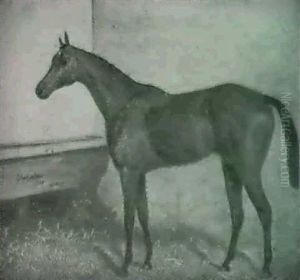 Gladiateur: A Bay Hunter In A Loose Box by Harry Hall