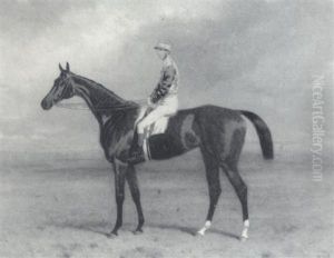 A Bay Racehorse, The Property Of Lord Anglesey, With Tom    Cannon Up