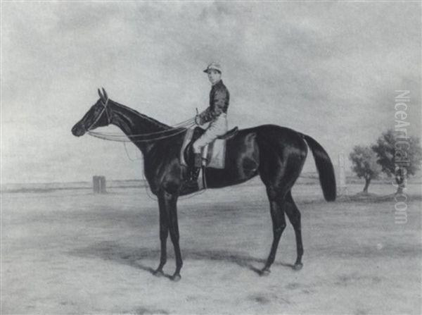 A Racehorse With Jockey Up - view 1