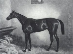 Macaroni Bred By The Marquess Of Westminster At Eaton, Winner Of The Derby Of 1863 And Owned By R.c. Naylor Esq Macaroni Bred By The Marquess Of Westminster At Eaton, Winner Of The Derby Of 1863 And Owned By R.c. Naylor Esq