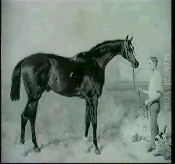 "knight Of The Garter" With Stable Boy - view 1