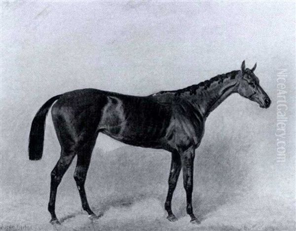 "queen Bertha", A Bay Racehorse, In A Stall - view 1