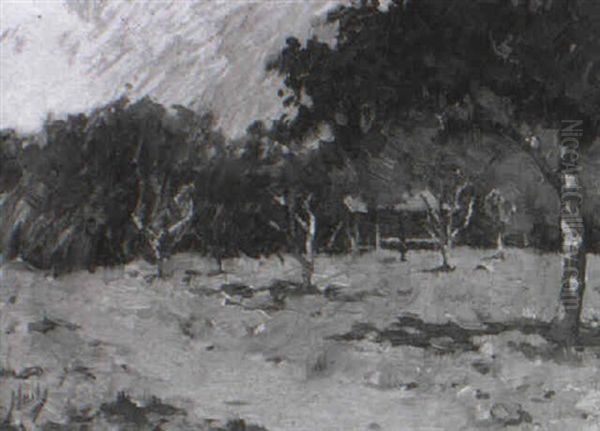 A Shack Amonst Trees - view 1