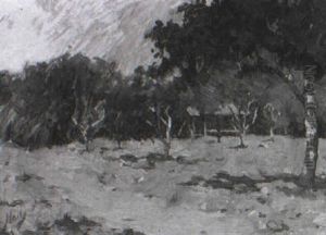 A Shack Amonst Trees A Shack Amonst Trees