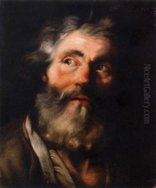 The Head Of A Bearded Man - view 1